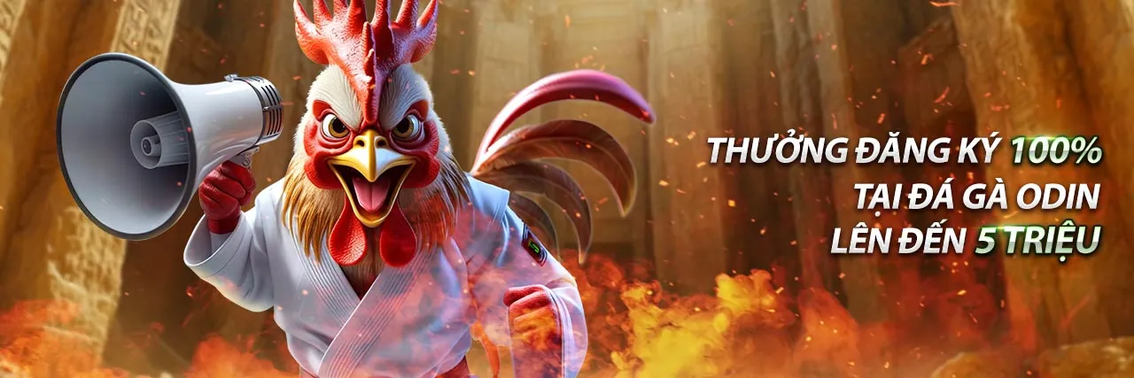 Tổng quan các chương trình khuyến mãi và ưu đãi tại gamvip - g88